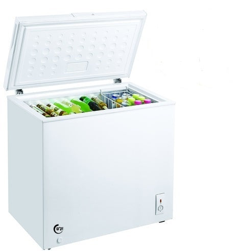 מקפיא/מקרר תעשייתי שוכב עם מכסה זכוכית DL-260G | Sachs